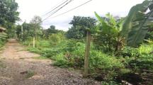 3 sào vườn trái cây liền kề , Phú Bình , Tân Phú , ĐN
