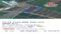 Bán 2000m2 đất xã Thanh Bình Huyện Trảng Bom. có 300m thổ cư