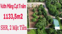 Cần bán 1133m2 đất vườn gần ngã tư Dầu Giây thuộc Thống Nhất, Đồng Nai