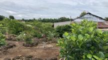 Chủ  cần  bán nhanh lô đất tại : ấp 5 - xã Trà cổ - Tân Phú - Đồng Nai