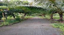 Khu vườn xanh tươi tại Đồng Nai - Nơi nghỉ dưỡng lý tưởng