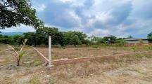 1 sào Đất vườn Sổ sẵn, đang trồng điều, View núi Gia Lào, Gần ĐT763