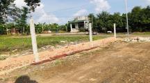 Bán mảnh vườn trồng Bưởi SHR góc 2MT gần KCN Bàu Xéo