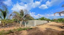 Hơn nửa sào đất vườn đã xây tường bao, nằm trong KDC