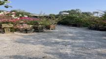 Bán nhà vườn giá rẻ Thạnh Phú, Vĩnh Cửu, Đồng Nai, 632m2, giá 2 tỷ 200