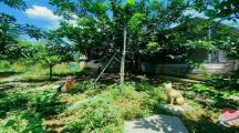 nhà vườn : Tân Bình - Vĩnh Cửu ( Giáp ranh kp11 Tân Phong )