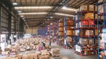 XT318 nhà xưởng kho chứa hàng phụ vụ vận hành logistic, gần nhiều