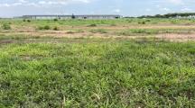 Bán đất (SKK) xây dựng xưởng 31.000m2 giá 140tỷ KCN Trảng Bom-ĐN
