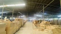 CHO THUÊ NHÀ XƯỞNG SẢN XUẤT – KHO CHỨA HÀNG. TP BIÊN HOÀ