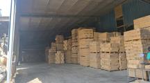 BAN GẤP XƯỞNG 7000M2, FULL SKC, TÂN ĐÔNG HIỆP, GIÁ 79,