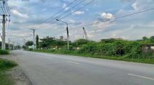 Bán lô đất 2000m2 full SKC gần cổng 11, Phước Tân, Biên Hòa, giá chỉ 1