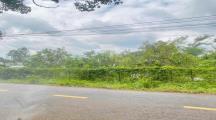 bán 1,3 sào đất có 300m thổ cư tại sông trầu ,trảng bom