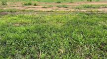 Bán đất xây xưởng SKC đã đóng thuế 1 lần 17.600m2 - Chỉ 84 tỷ
