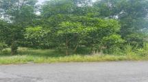 B.ÁN LÔ ĐẤT ( SKC  ) GẦN KCN GIANG ĐIỀN ,TRẢNG BOM DT 2318m