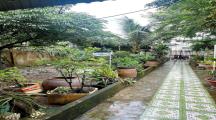 BÁN ĐẤT TẶNG NHÀ CẤP 4 – P. LONG BÌNH TÂN, BIÊN HOÀ, DT 192M² CÓ THỔ C