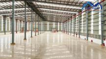 Cho thuê xưởng giá rẻ chỉ 230triệu 3.500m2 Trảng Dài-Biên Hòa-Đồng Nai