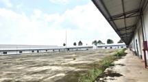 Bán nhà xưởng 40.000m2 full SKC giá chỉ 65 tỷ. Trảng Bom-Đồng Nai