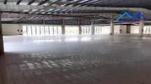 Cho thuê nhà kho tại Phường Tam Phước 9100m2 giá chỉ 250 triệu/ tháng