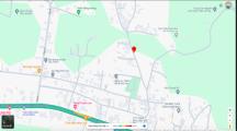 11.000m2 Đất 1 Xẹt Ql1a Khoảng 1km Thuộc Hưng Lộc Thống Nhất