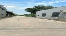 đất sổ chung tại kp thiên bình tam Phước , biên hòa