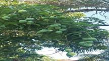 Chủ cần bán gấp nhanh gọn lô đất giá ngợp tại Định Quán