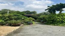 Bán nhà vườn gần sông, gần Cao Ốc Fresia Riverside Tân Vạn, Biên Hòa,