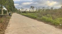 127.6m2 Đất Phú Tân Định Quán - Giá 450 Triệu
