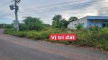 Bán đất  tại xã An Viễn huyện Trảng Bom