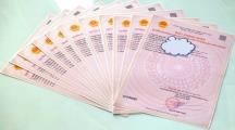 BUNG 12 LÔ GIÁ GIÁ F0 NGAY TRUNG TÂM HÀNH CHÍNH PHƯỜNG TÂN TRIỀU