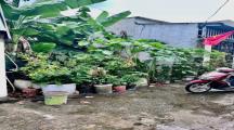 Bán đất phước tân làng thiên trợ sổ riêng