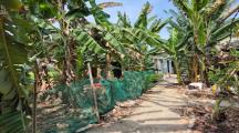 Bán đất vườn 5500m2 tại phường An Hòa Biên Hòa Đồng Nai giá chỉ 3,2tr/