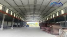 Bán đất full SKC hơn 4,5ha và xưởng  tại phường Phước Tân Biên Hòa giá