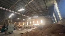 Cho thuê xưởng 2000m2 có phòng Sơn Tỉnh Điện, Hố Nai 3, Trảng Bom.