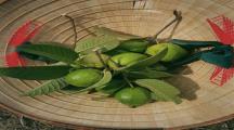 VỪA NGHỈ DƯỠNG, VỪA SINH LỜI - CHỈ VỚI 850 TRIỆU/SÀO TẠI LA NGÀ