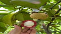 GIỮ TIỀN AN TOÀN GIỮA BIẾN ĐỘNG