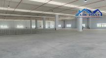 Cho thuê kho 8000m2 SKC TP Biên Hòa, Đồng Nai giá 32000usd đã có VAT