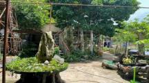Nhà Vườn Tân Bình Vĩnh Cửu DT: 1.127m. 100m Thổ Cư. Đường xe Tải