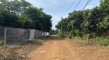 Siêu phẩm đất giá rẻ tại Ngọc Định, Định Quán