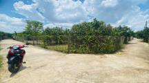 Lô đất  Tân Triều - Vĩnh Cửu. - Lô đất vườn : 500m2 , gốc 2 mặt đường