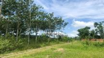 6000m2 Đất Cách Đ.Phượng Vỷ 300m Suối Cao Xuân Lộc - Giá 2.34 Tỷ