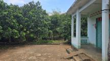 Nhà vườn gần sân bay Long Thành - Chủ bán gấp có 300m2 thổ cư
