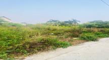 Bán đất khu cư xá Phúc Hải p.Tân Phong