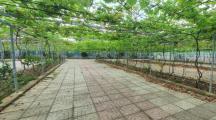 Chuyển nhượng khu vườn sinh thái gần 1Ha tại TP.Biên Hoà. Giá 58 tỷ. S