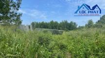 Bán đất SKC 8.550m2  gần KCN Giang Điền  Trảng Bom Đồng Nai giá 29.5 t