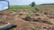 bán 1000m² đất xã sông trầu ,trảng bom giá 950 tr