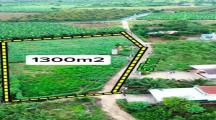 bán 1300m đất cây lâu năm .xã tây hòa ,trảng bom giá 1 tỷ 250