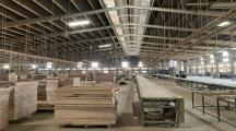 Cho thuê nhà xưởng 22.000m2 giá chỉ 1,1 tỷ. KCN Vĩnh Cửu-Đồng N