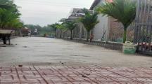 Bán 2.000 mét đất sầu riêng có thổ cư xã Thạnh Phú Cũ nay phường tân t