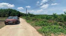 Đất View Sông Đồng Nai Bình Lợi Vĩnh Cửu