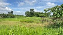 bán 1600m² đất phường tân triều mới ,( xã tân bình cũ ) giá 8,5 tỷ